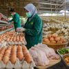Produksi Telur Ciamis Capai 49 Ton per Hari, Siap Dukung Program MBG