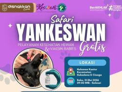 Disnakkan Ciamis Gelar Safari Yankeswan 2026, Vaksin Rabies dan Layanan Kesehatan Hewan Gratis