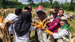 Tak Hanya Jaga Kamtibmas, Polres Ciamis Turun Langsung Kawal Program Ketahanan Pangan Nasional