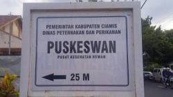Puskeswan Disnakkan Ciamis Buka Pemeriksaan Hewan Gratis, Lengkapi Layanan dengan USG