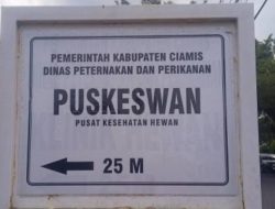 Puskeswan Disnakkan Ciamis Buka Pemeriksaan Hewan Gratis, Lengkapi Layanan dengan USG